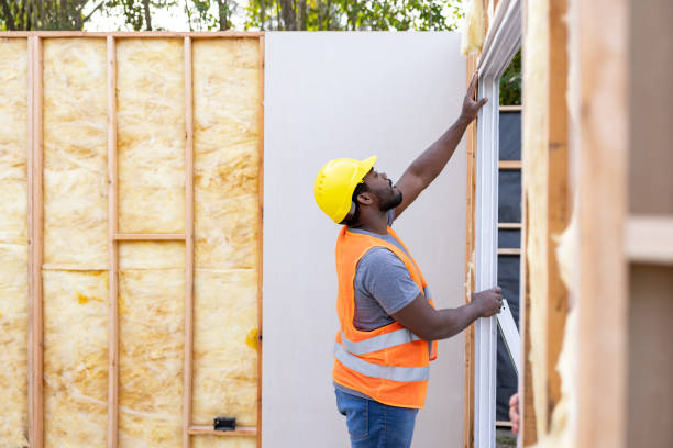 Best Insulation for New Construction  in Duluth, MN