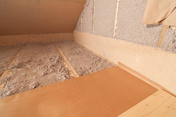 Best Garage Insulation Installation  in Duluth, MN
